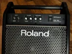 Сценический монитор ROLAND PM-100