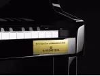 Цифровое пианино Casio Grand Hybrid GP-510 BP