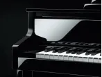Цифровое пианино Casio Grand Hybrid GP-510 BP