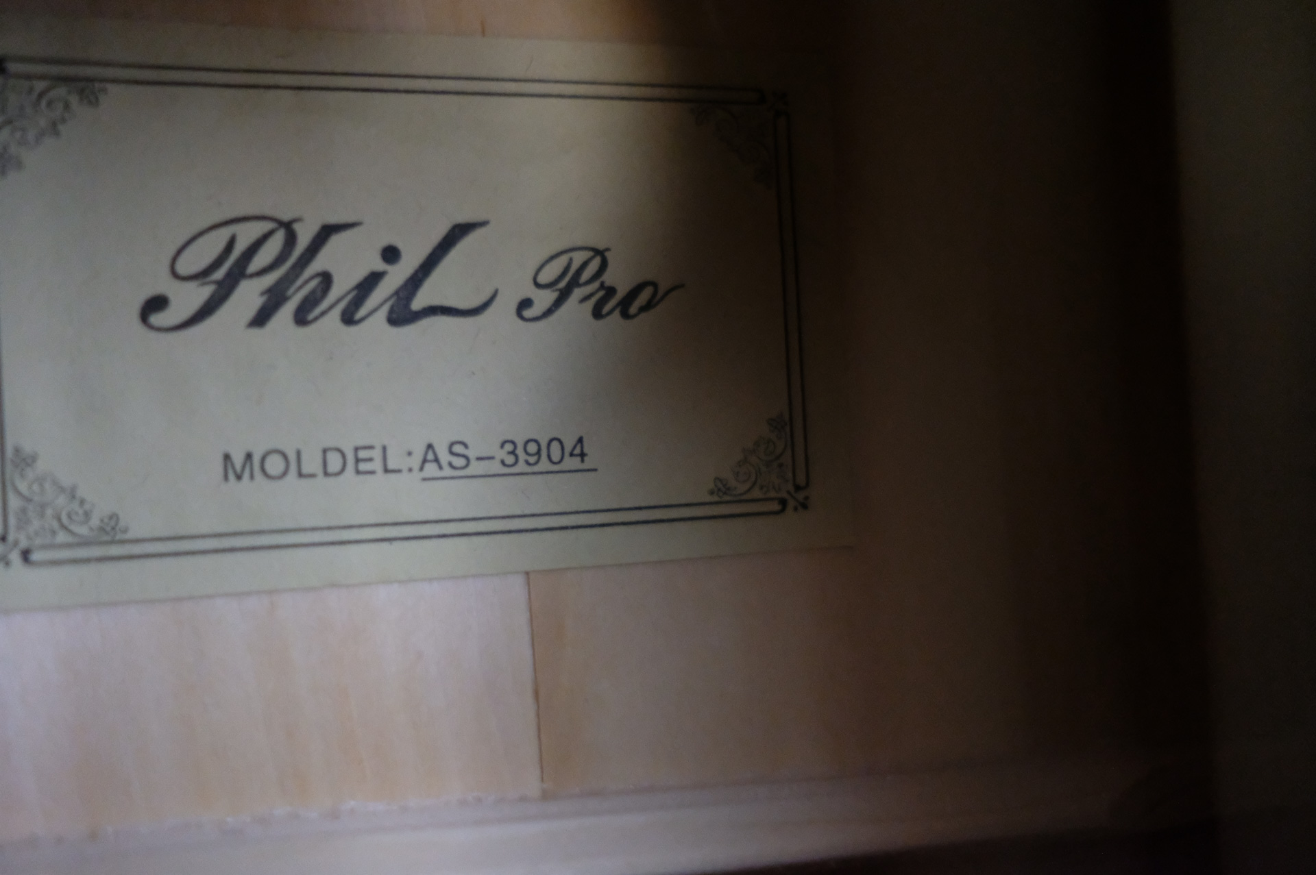 Гитара акустическая Phil Pro AS-3904 SB