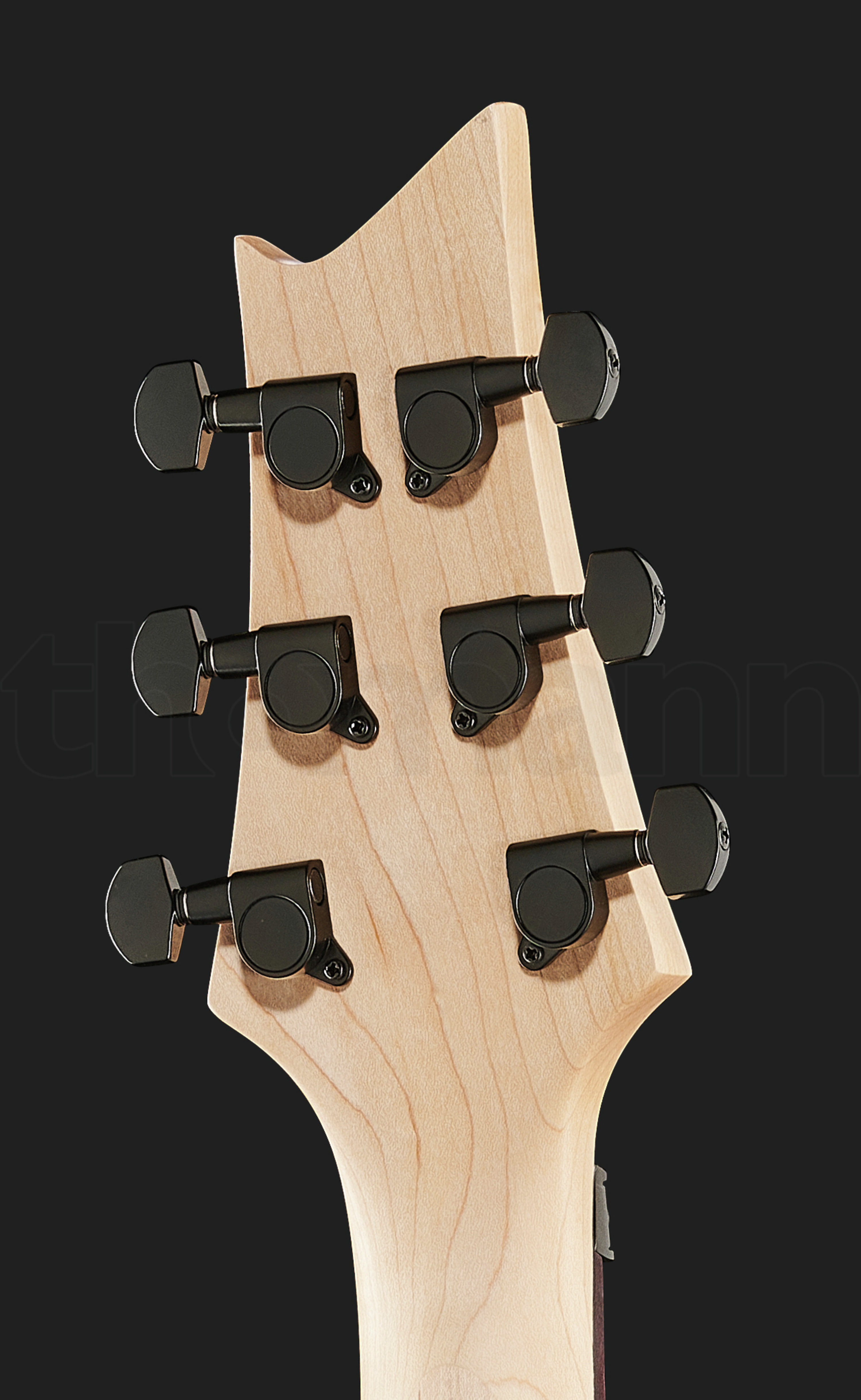 Электрогитара Harley Benton R-456FR BK Progressive Series