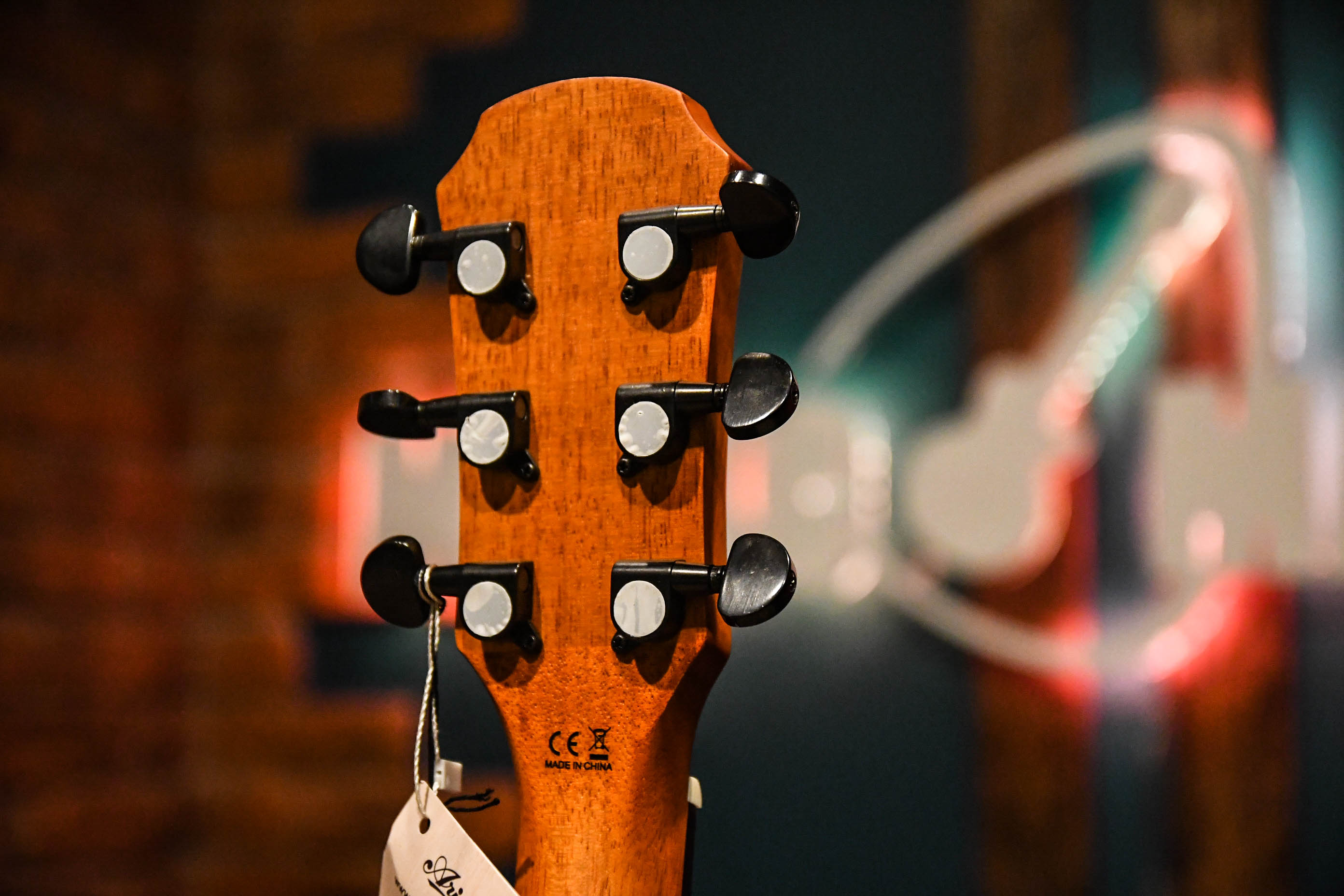 Электроакустика ARIA FET-F2 STBR