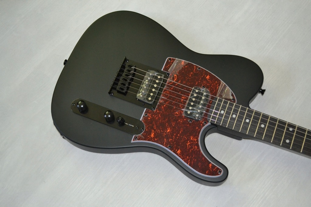 Электрогитара Harley Benton TE-20HH SBK