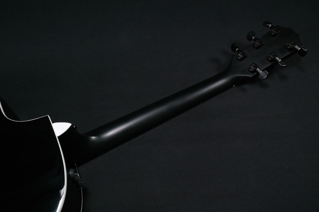 Электроакустическая гитара Taylor 224ce DLX deluxe LTD, Trans Blue