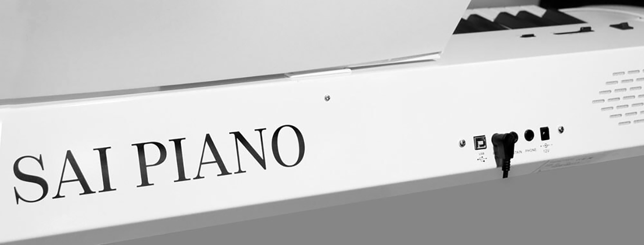 Цифровое пианино Sai Piano P-9WH