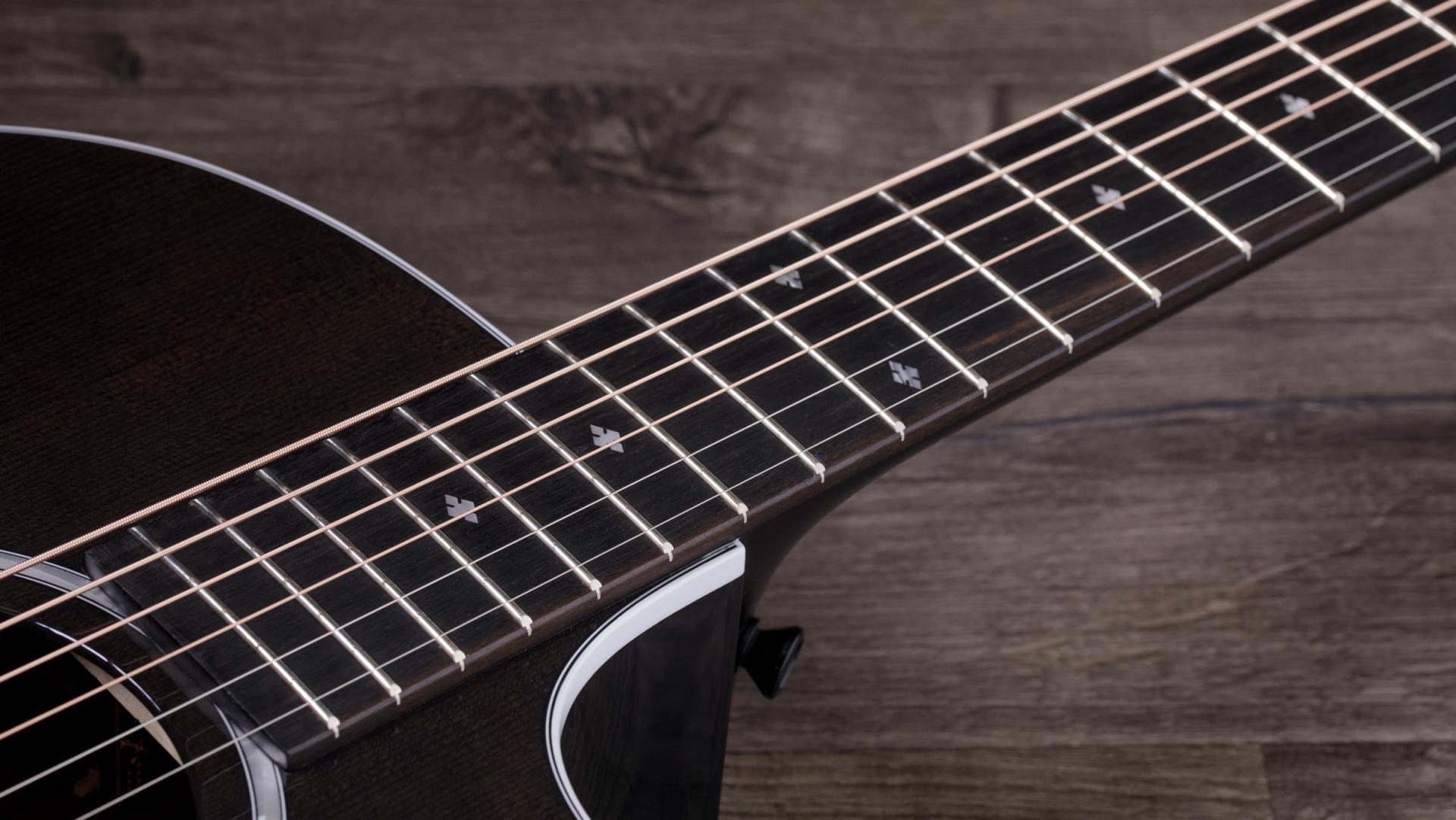 Электроакустическая гитара Taylor 224ce DLX deluxe LTD, Trans Grey
