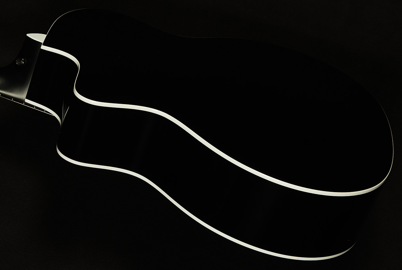 Электроакустическая гитара Taylor 224ce DLX deluxe LTD, Trans Grey