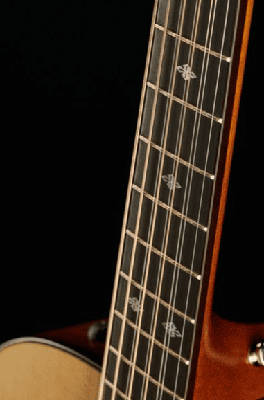 Электроакустическая гитара Taylor Custom GA-9