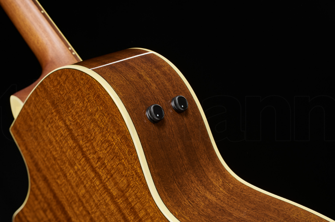 Электроакустическая гитара Fender Newporter Player NAT WN