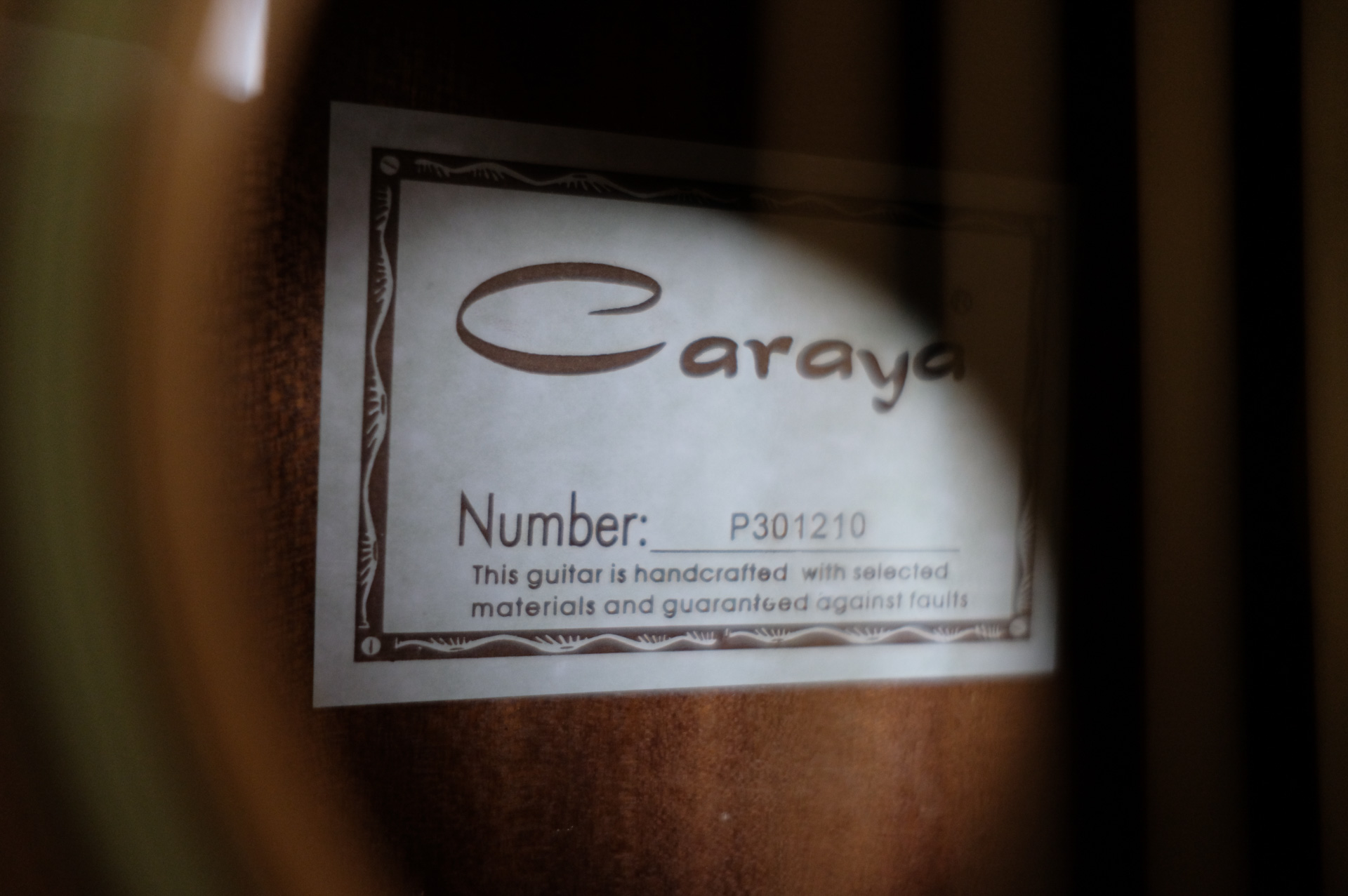 Акустическая гитара Travel, Caraya P301210