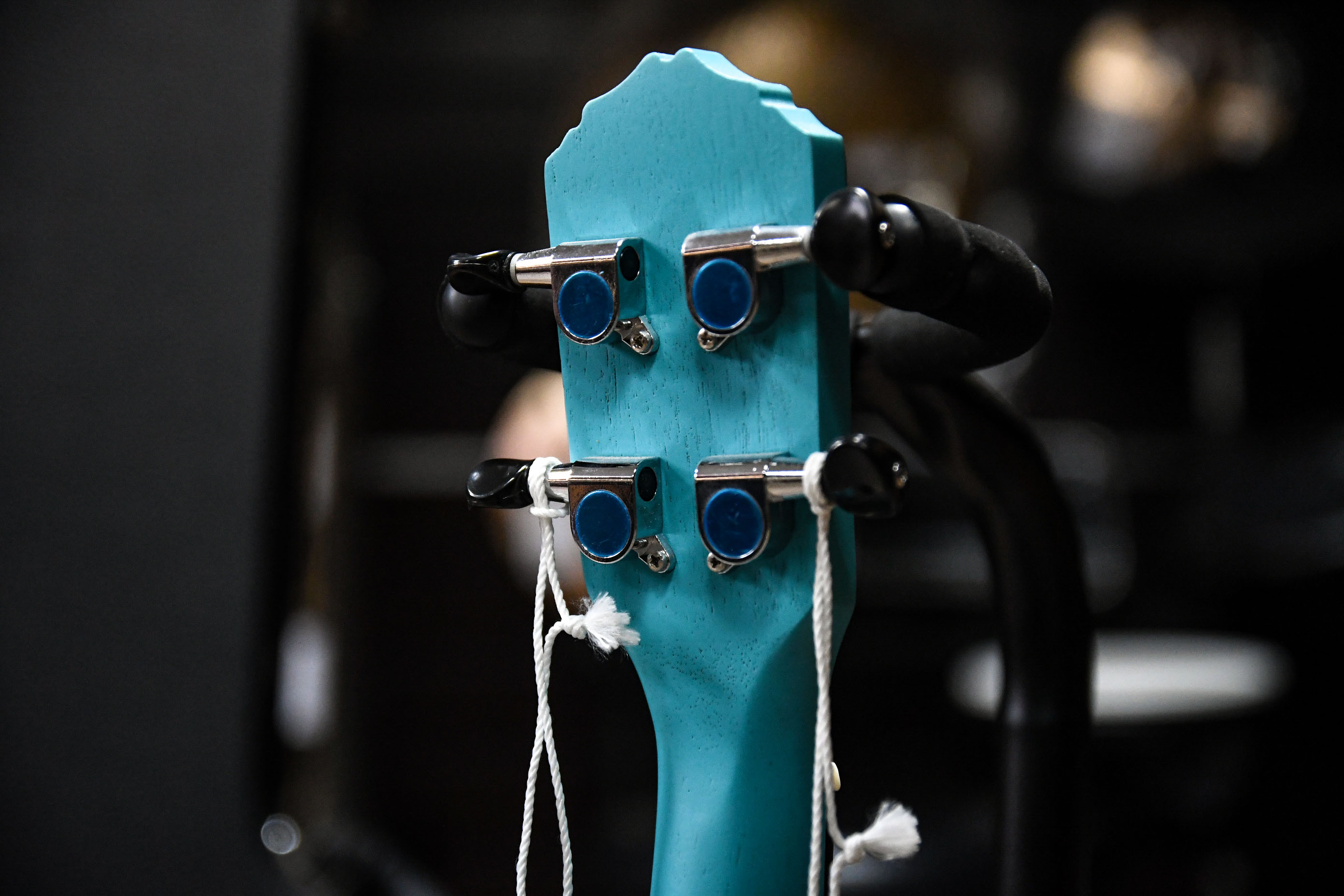 Укулеле концертный Ortega Earth Series RULAGOON