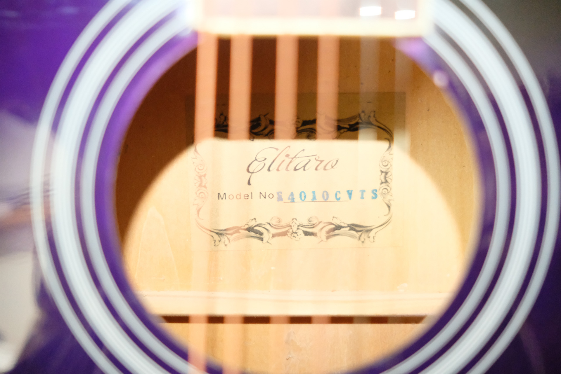 Акустическая гитара Elitaro E4010 VTS