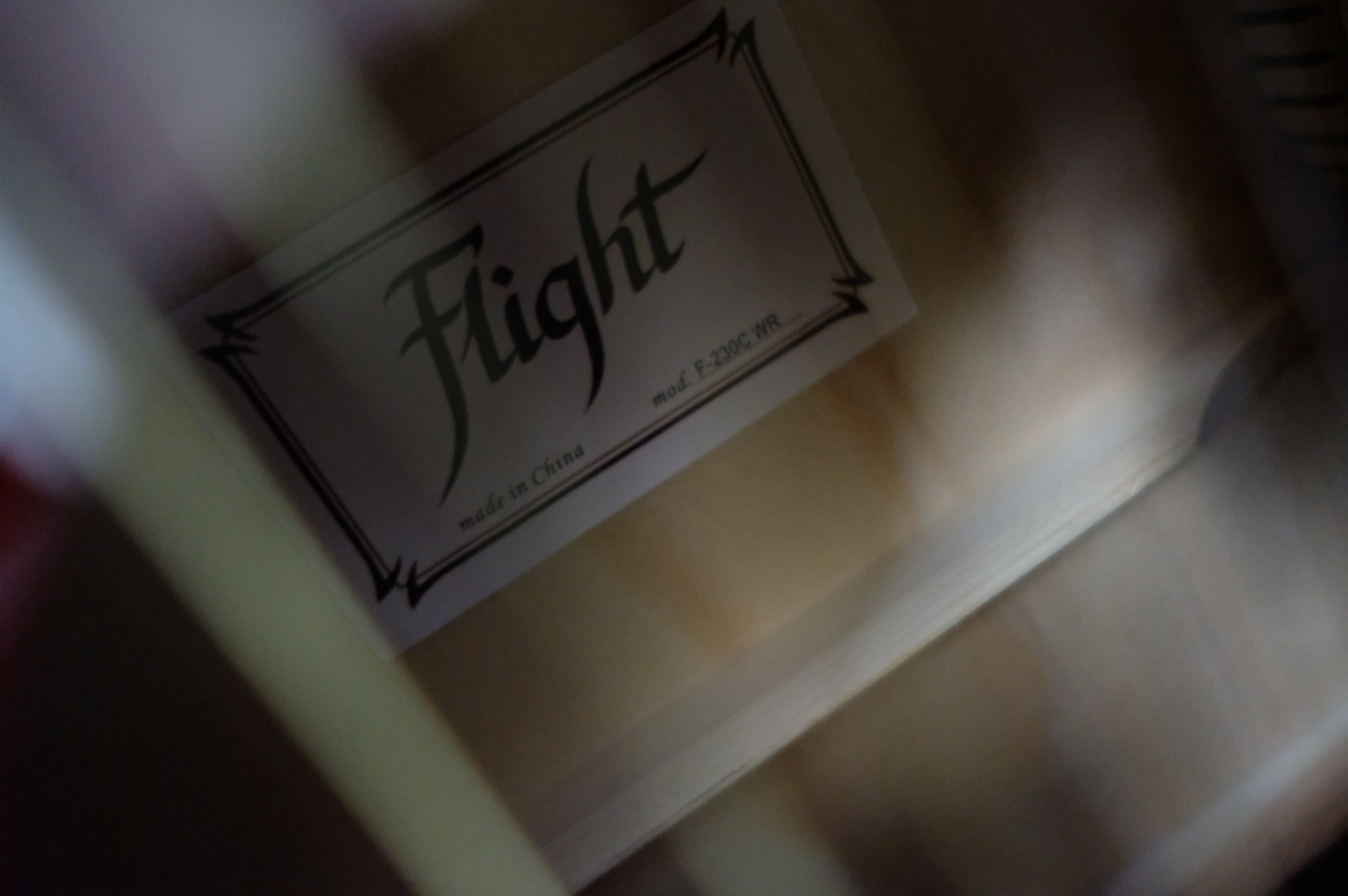 Акустическая гитара FLIGHT F-230C WR