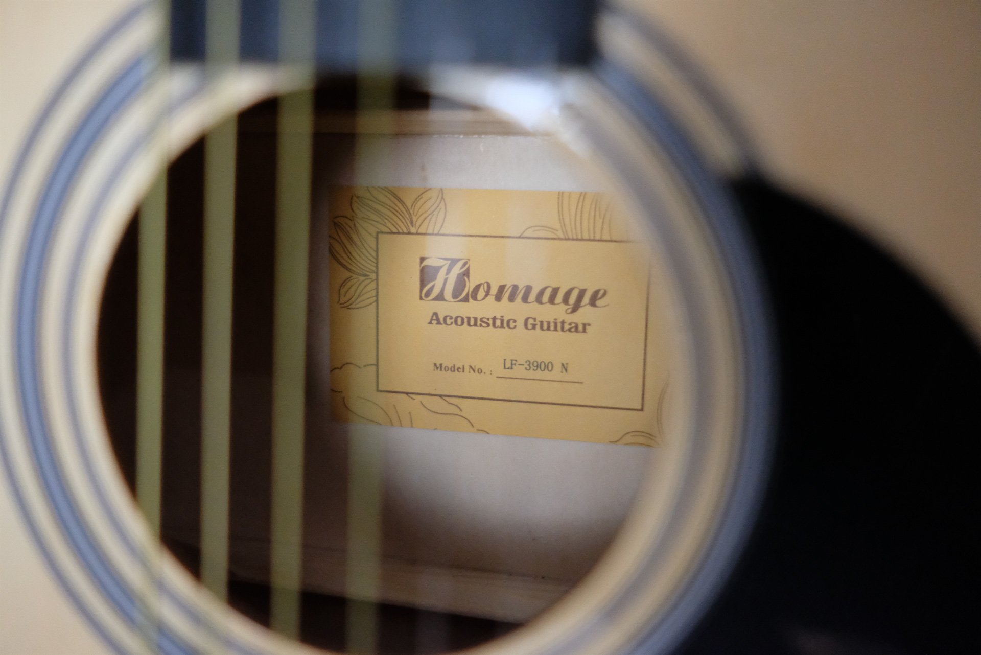 Акустическая гитара Homage LF-3900
