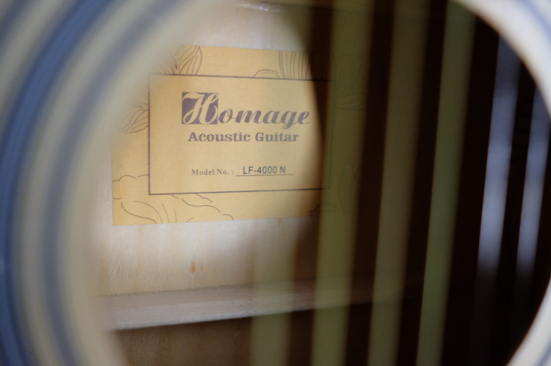Акустическая гитара HOMAGE LF-4000