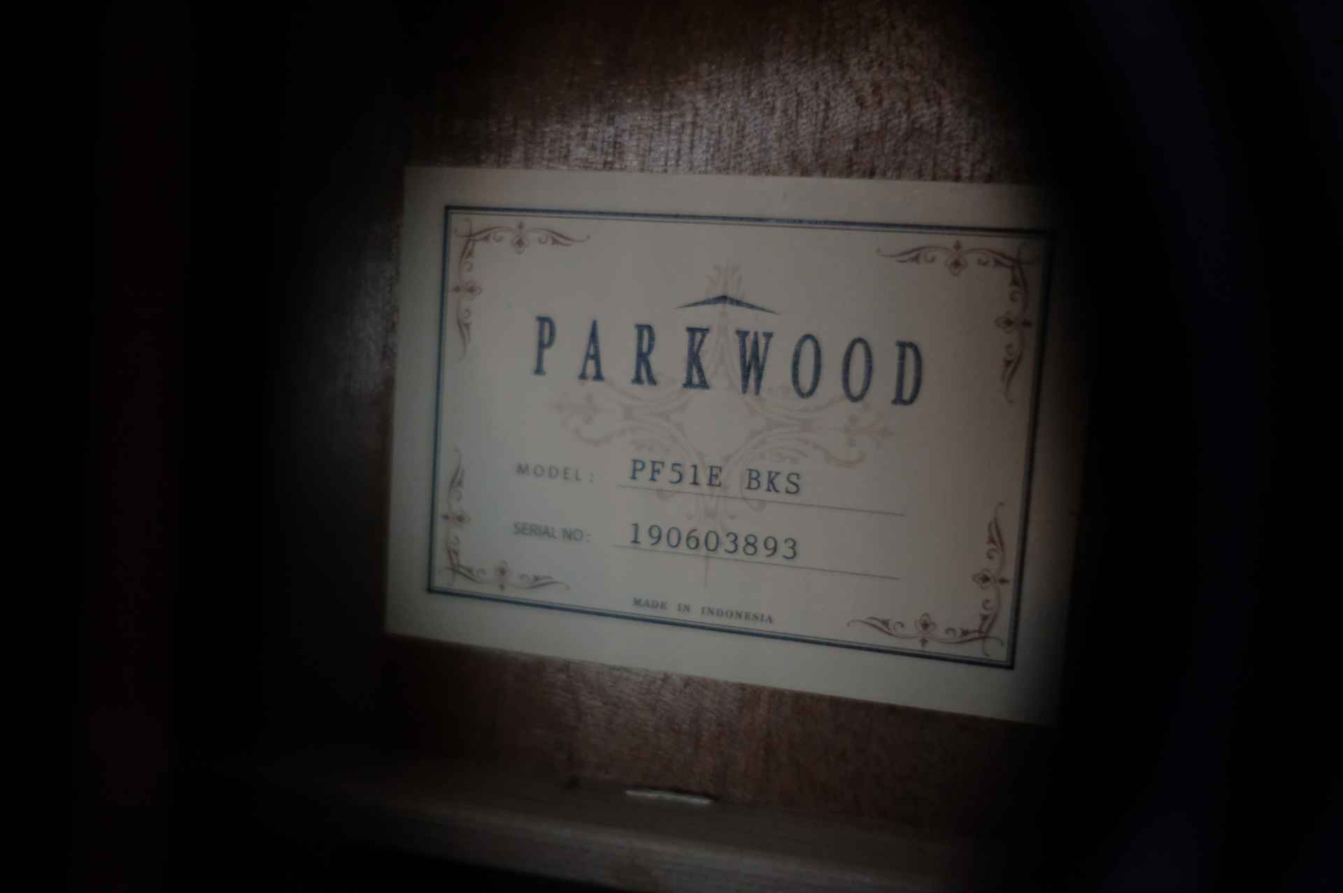 Электроакустическая гитара Parkwood PF51E-BKS