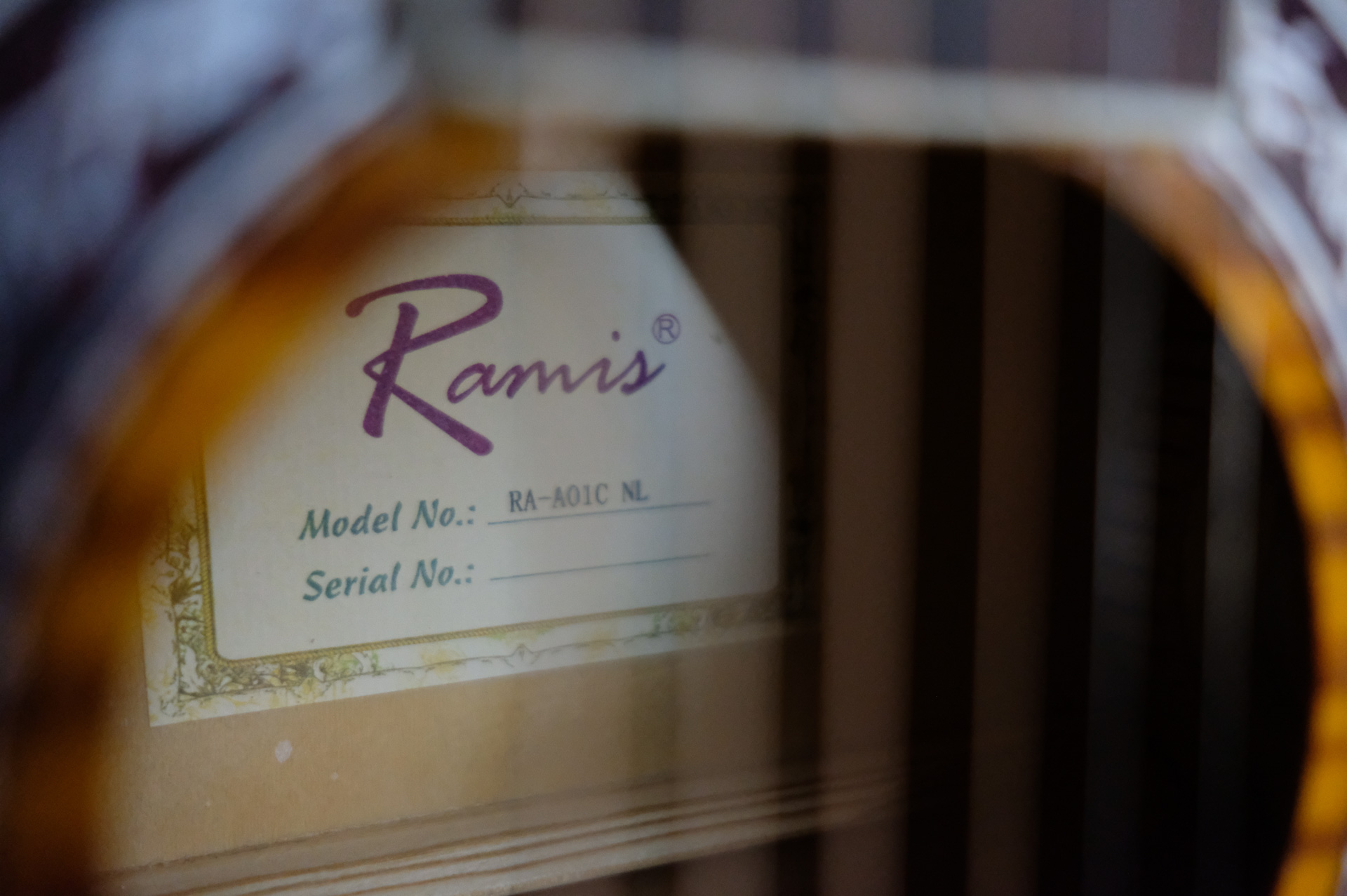 Акустическая гитара Ramis RA-A01C-NL