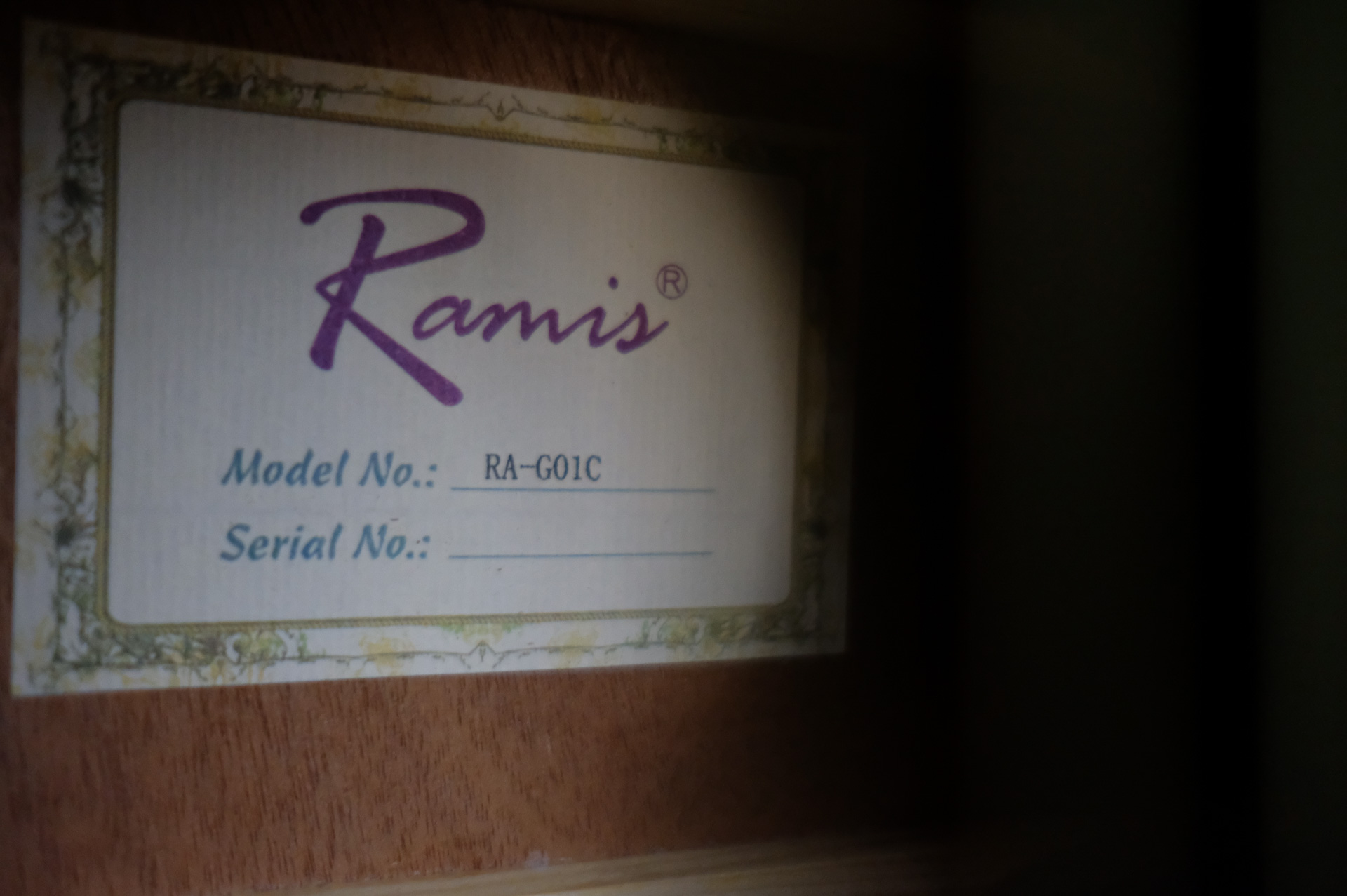 Акустическая гитара Ramis RA-G01C