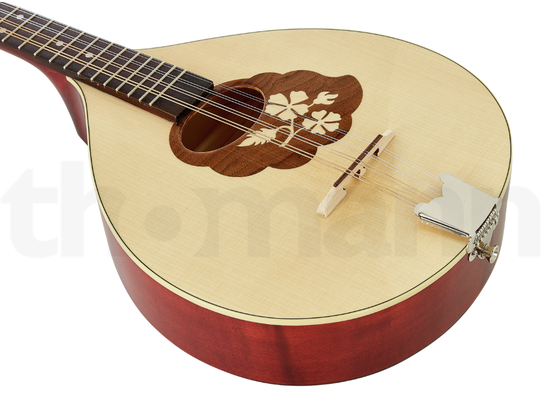 Бузуки Thomann Irish Bouzouki M1089